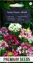 Spider Flower Mixed Seeds